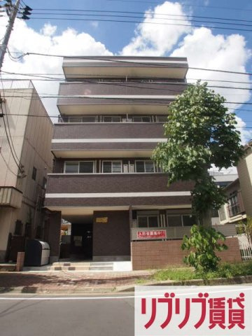 ハーミットパープル