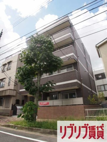 ハーミットパープルの外観