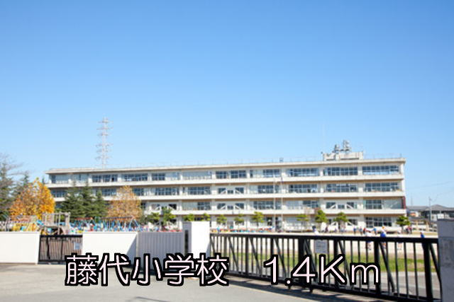ステラルーチェⅣの周辺