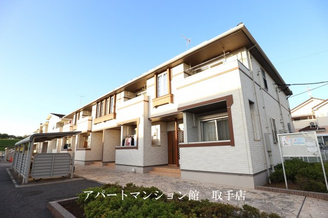 ステラルーチェⅣ
