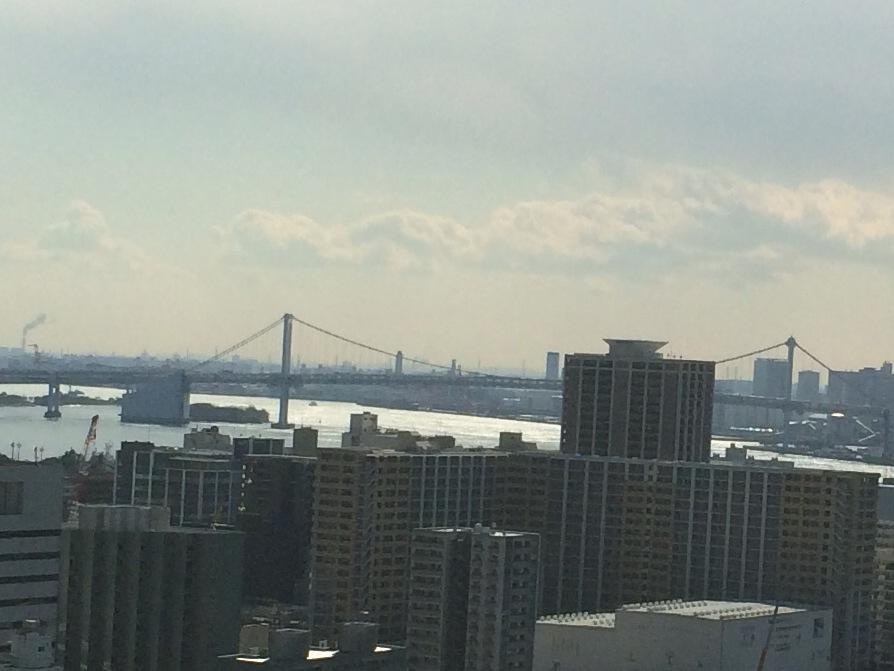 中央区築地６丁目の賃貸マンションのその他|眺望・同タイプ参照