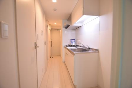 リブリ・ラ　サンサリテ西船橋のキッチン|照明器具付き