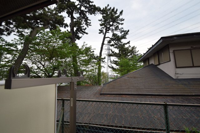 ハイメゾンキャッスルのその他|閑静な住宅街