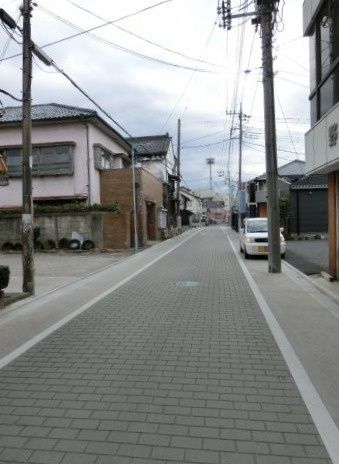 行田市忍１丁目の売地の前面道路含む現地写真|前面道路の写真です。左側が対象地です。
