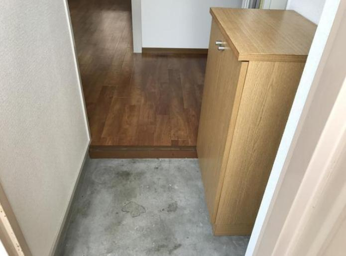 リバーサイド天神南の玄関|リバーサイド天神南 (1LDK)　玄関