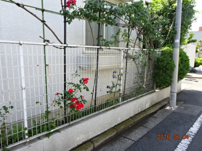 【外観】 | ヴィラ・フローレス | 花が季節で咲き誇ります