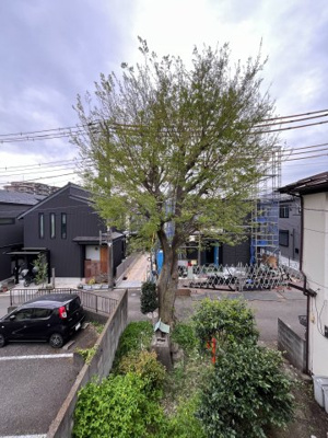 【展望】 | 第三小口ハウス