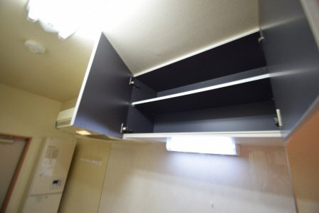 ＧＬＡＮＺ　ＡＴ（グランツＡＴ）のキッチン|キッチン上部収納（写真は別号室です）
