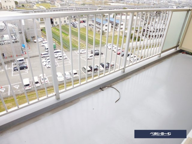 セオコート潤和