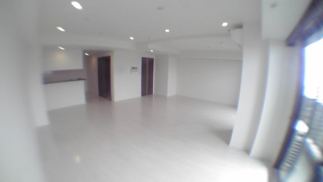 千代田区二番町の賃貸マンションのその他|リビング