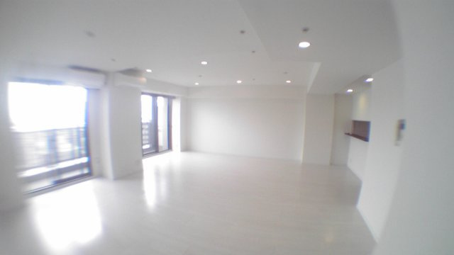 千代田区二番町の賃貸マンションのその他|リビング