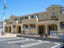 プリムローズの画像