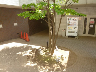 【その他共用部分】 | コミュニティラウンジあり