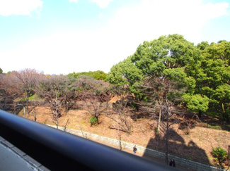 【展望】 | マンション八木橋
