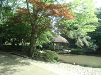 【周辺】 | 県立東高根森林公園