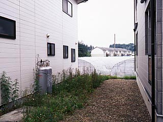 【周辺】 | スピッツⅠ