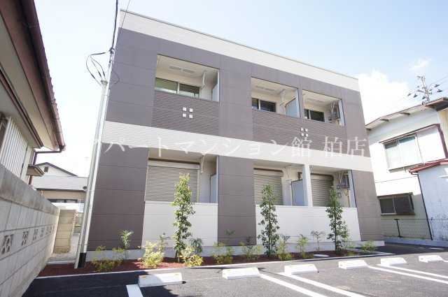 Banderuola