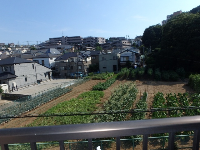 メゾン叶の展望
