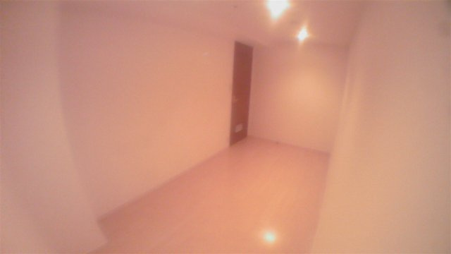 文京区後楽２丁目の賃貸マンションのその他|洋室