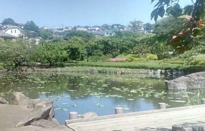 【周辺】 | ダイアパレス東寺尾第2 | 馬場花木公園