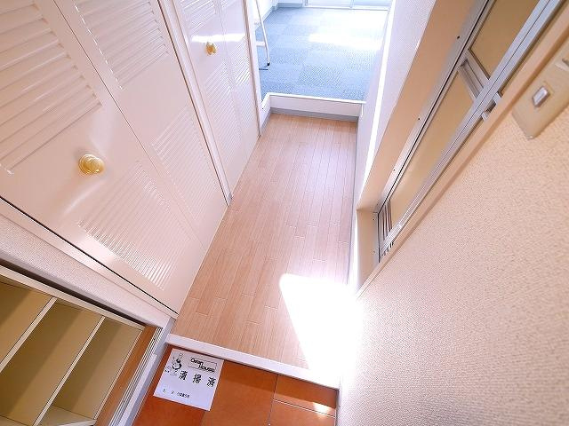 シティパレス柳町P-3の玄関|シンプルで使いやすい玄関です