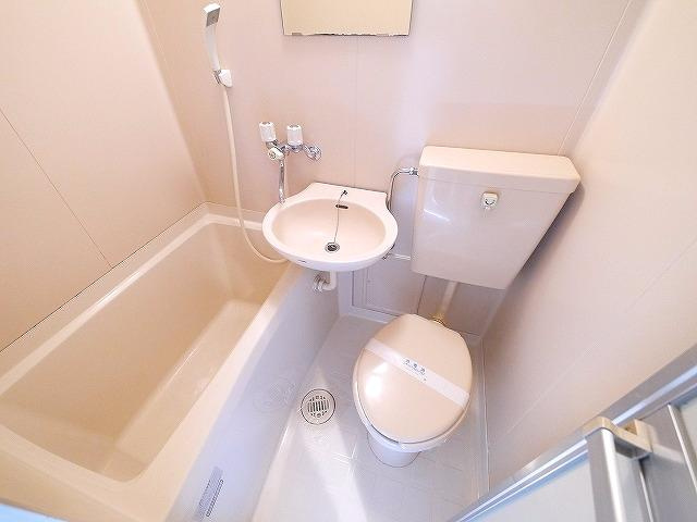シティパレス柳町P-3のトイレ|トイレです