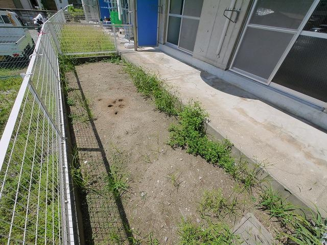 VISTA IMANISHIの庭|お庭の付いた物件です