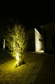 【外観】 | soare