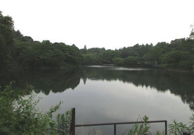【周辺】 | リステージ三ツ池公園 | 県立三ツ池公園に隣接した閑静＆緑豊かな住環境♪