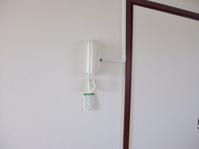 ルミナスハイツ2のセキュリティ