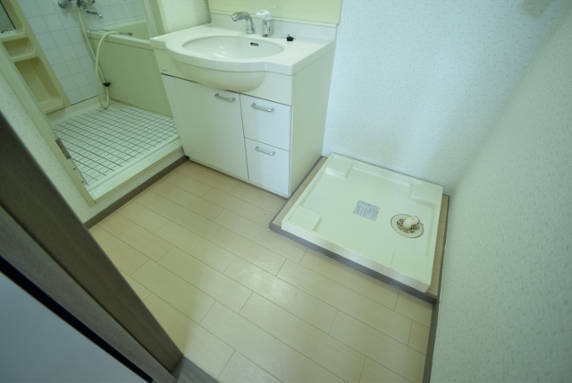 アルマース壱番館の洗面所|脱衣スペース