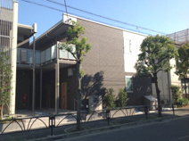 ミランダファレノの画像