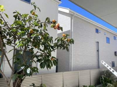 【展望】 | コーポアクシス