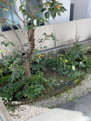 【その他共用部分】 | コーポアクシス