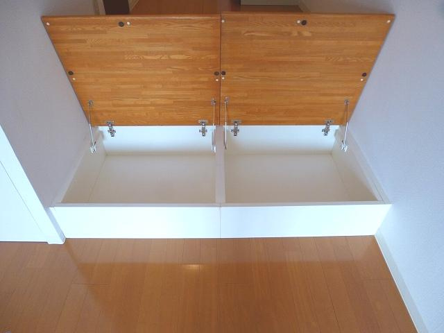 RESIDIA上野御徒町のその他共用部分|階段下の収納です