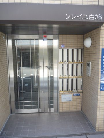 ソレイユ白鳩　BRAVI不動産の外観パース|【ソレイユ白鳩】外観パースです