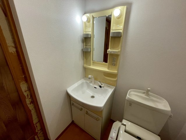 アドバンス俊徳の洗面所