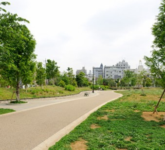 【周辺】 | ハイネス今川 | 桃井原っぱ広場 460m