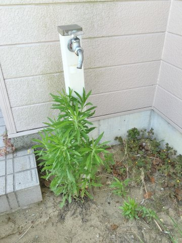 石山邸の設備