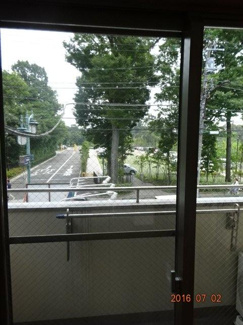 【展望】 | お部屋の窓からの眺望　井之頭公園が見えます