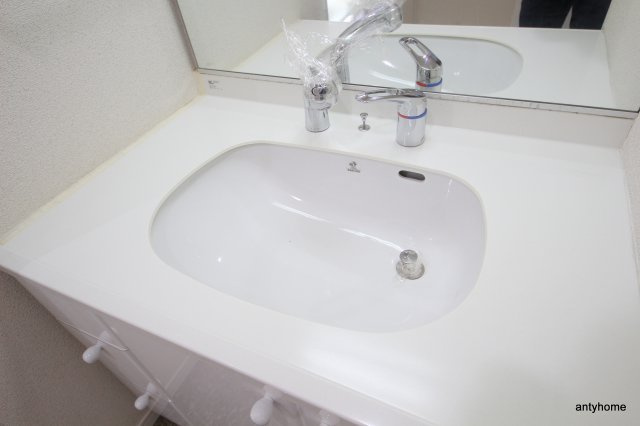 ＫＡＩＳＥＩ梅田　仲介手数料無料の洗面所