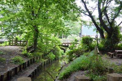 【周辺】 | 清水店舗 | 玉川上水