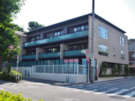 彩桜春庵の画像