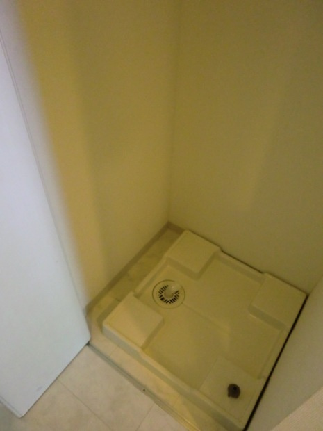 ヴェリテ三国のその他