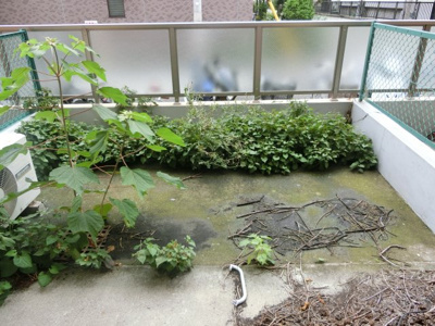 【庭】 | ときわ台マンション