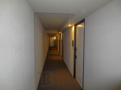 【その他共用部分】 | プライムメゾン市谷山伏町 | プライムメゾン市谷山伏町の共用部分です