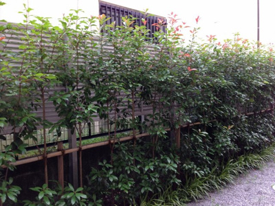 【展望】 | パロス大倉山