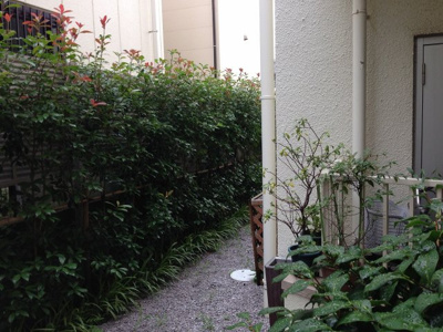 【展望】 | パロス大倉山