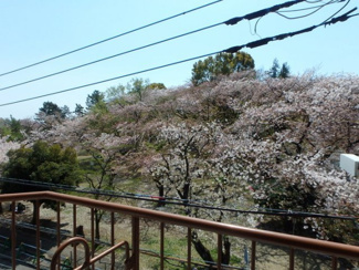 【展望】 | 眺望良好　春には桜景色になります