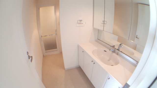 台東区元浅草２丁目の賃貸マンションのその他|洗面